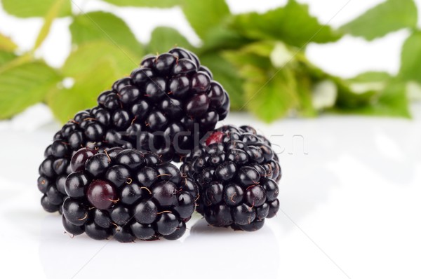 Studio shot of three fresh blackberries with leaves in background  Stock photo © dla4