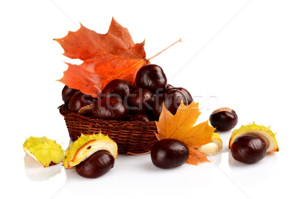 Closeup basket with chestnuts and leaves isolated on white Stock photo © dla4
