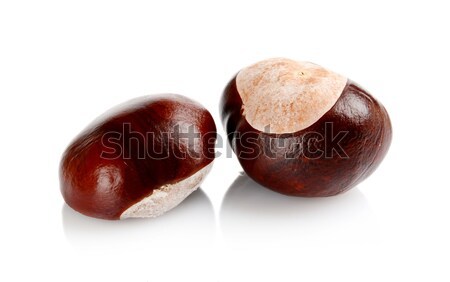 Closeup shot few chestnuts isolated on white background Stock photo © dla4