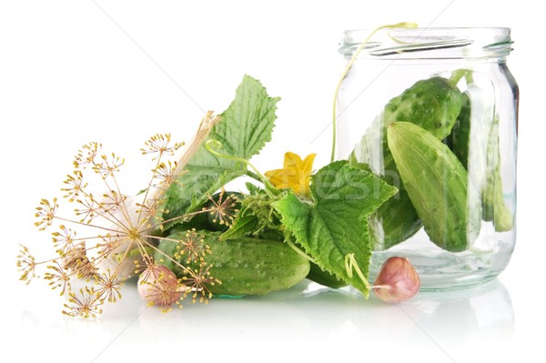 Ingredients for pickling or preserves cucumbers on white Stock photo © dla4