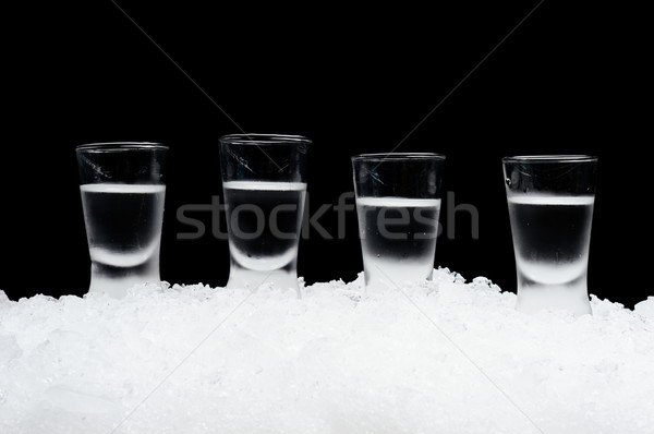 многие очки водка Постоянный льда черный Сток-фото © dla4