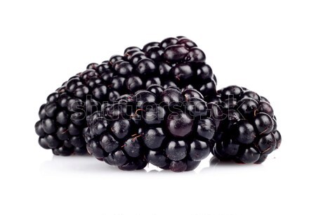 Studio shot of three fresh blackberries isolated white  Stock photo © dla4