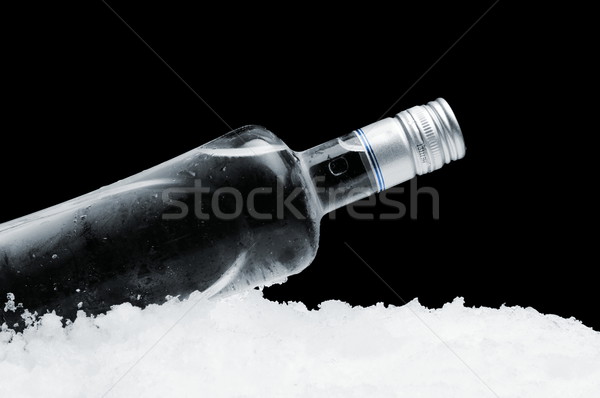 Flasche Wodka Eis schwarz Ansicht Stock foto © dla4