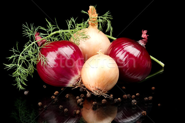 Onions,red onions,dill,pepper and allspice isolated on black Stock photo © dla4