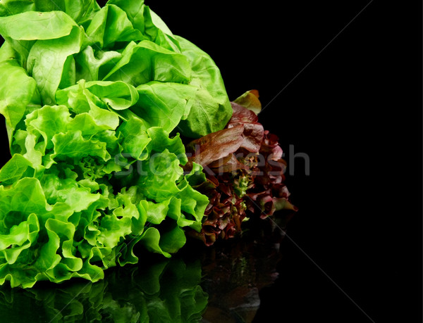 Many varieties of lettuce on black on the side Stock photo © dla4
