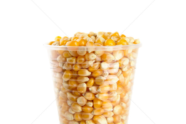 Plastic cup full of corn seeds on white Stock photo © dla4