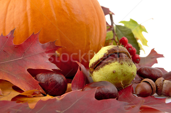 Cropped shot of pumpkin with autumn leaves for thanksgiving day on white Stock photo © dla4