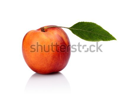Studio shot of orange nectarine with leaf  Stock photo © dla4