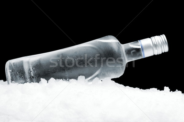 бутылку водка льда черный мнение Сток-фото © dla4
