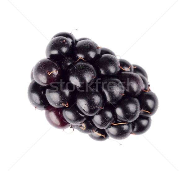 Studio shot one fresh blackberries isolated white  Stock photo © dla4