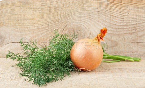 Onion,dill and allspice on wooden plank Stock photo © dla4