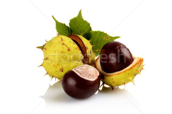 Closeup three chestnuts with leaf isolated on a white  Stock photo © dla4