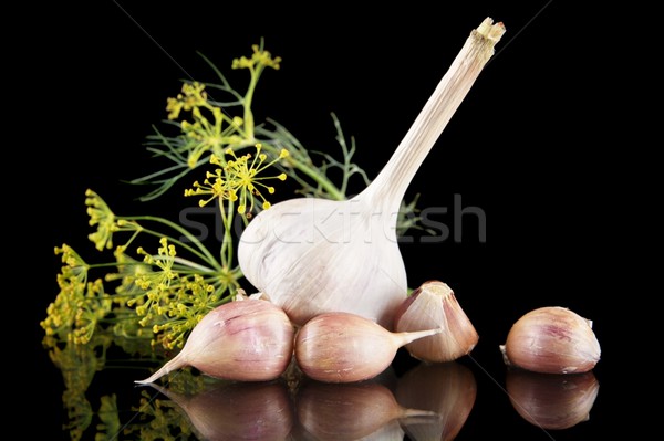 Garlic with ingredients for canning on black Stock photo © dla4