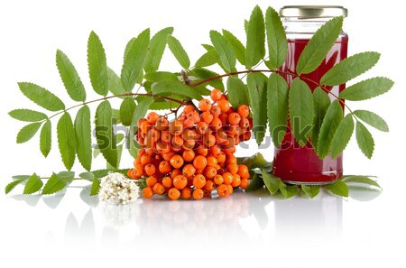 Orange rowanberry with jar of juice isolated on white Stock photo © dla4