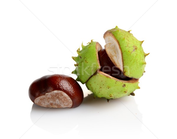 Closeup shot few chestnuts isolated on white background Stock photo © dla4