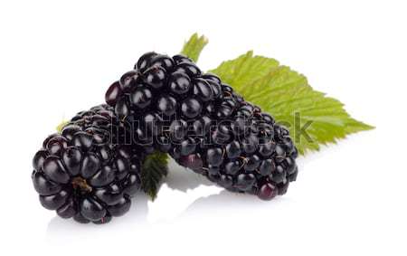 Studio shot of two fresh blackberries with leaves isolated white Stock photo © dla4