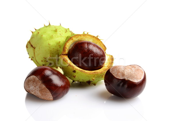 Closeup shot few chestnuts isolated on white background Stock photo © dla4