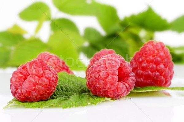 Few raspberries with leaves isolated on white Stock photo © dla4