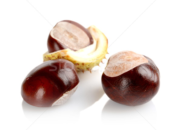 Closeup shot few chestnuts isolated on white background Stock photo © dla4