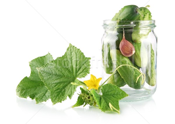 Cucumbers in jar preparate for canning isolated on white Stock photo © dla4