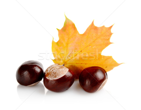 Group of many chestnuts with autumn leaves Stock photo © dla4