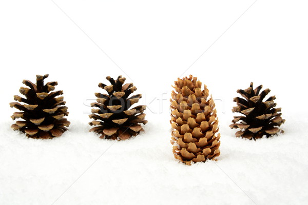 Stock photo: christmas pine cone on snow stands out of crowd in line
