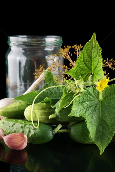 Cropped shot of cucumbers in jar preparate for canning isolated on black Stock photo © dla4