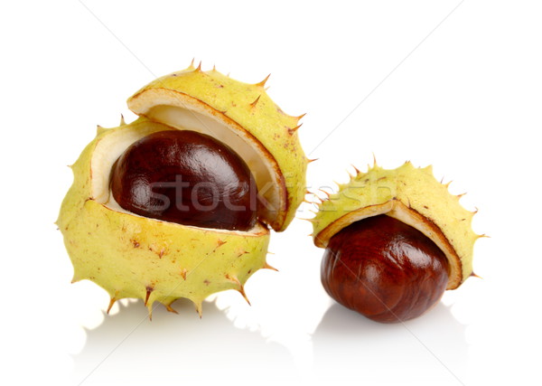 Stock photo: Closeup shot few chestnuts isolated on white background