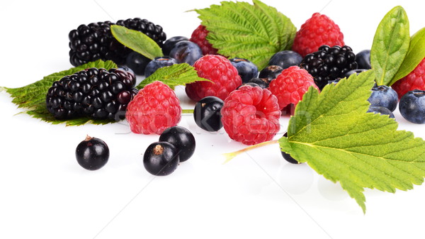 Assortment of various berries isolated white Stock photo © dla4