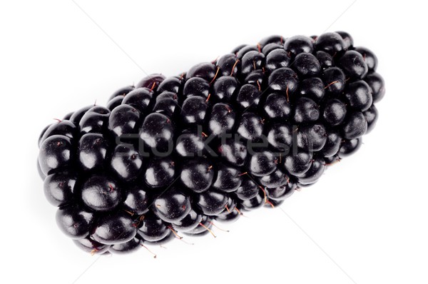 Studio shot one fresh blackberries isolated white  Stock photo © dla4