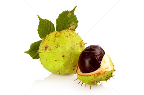 Closeup two chestnuts with leaf isolated on a white  Stock photo © dla4