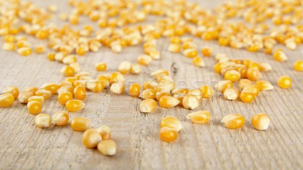 Scattered ripe dried yellow corn on wooden desk  Stock photo © dla4