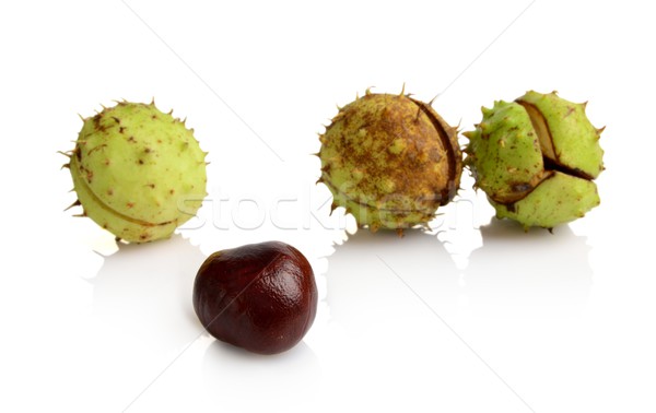 Four chestnuts in line with individual isolated on white background Stock photo © dla4