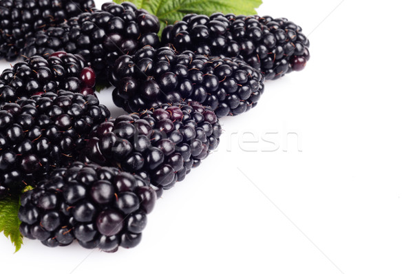 Macro photo of fresh blackberries right side white Stock photo © dla4