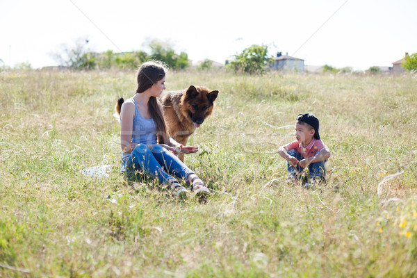 mom and son playing with dog sheepdog training Stock photo © dmitriisimakov