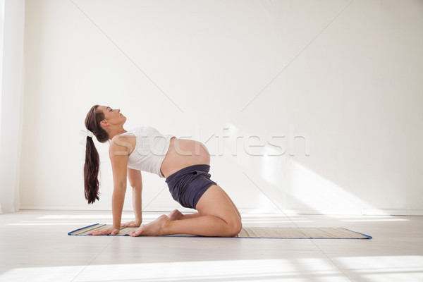 a pregnant woman is engaged in gymnastics and yoga Stock photo © dmitriisimakov