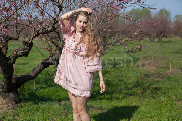 blonde woman in pink dress walks in the garden and gathers flowers Stock photo © dmitriisimakov