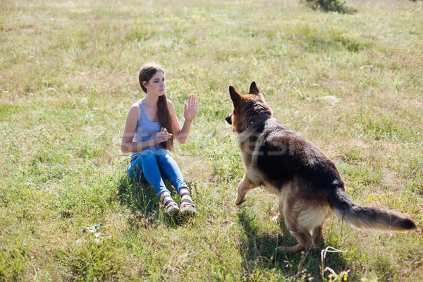 woman plays with dog sheepdog training nice Stock photo © dmitriisimakov