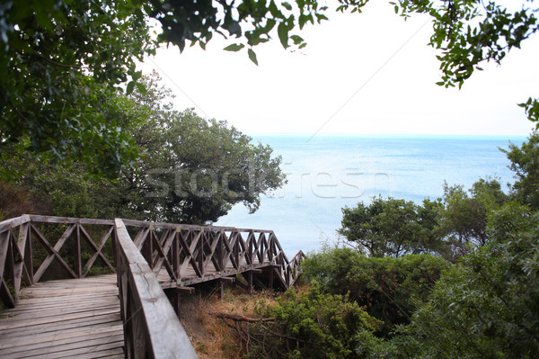 wooden bridge road in a rainforest landscape sea Stock photo © dmitriisimakov