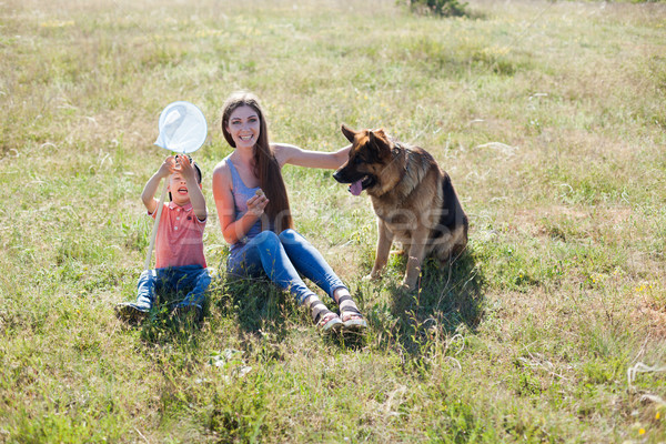 mom and son playing with dog sheepdog training Stock photo © dmitriisimakov