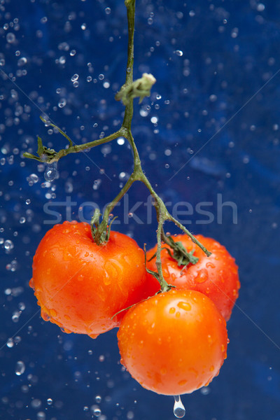 Foto stock: Fresco · tomates · vermelho · gotas · água · natureza