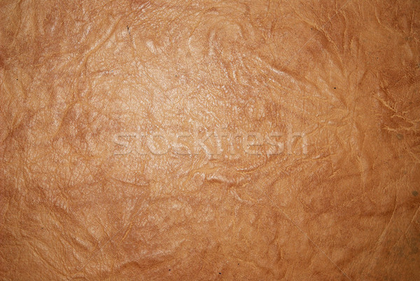 leather background Stock photo © dmitroza