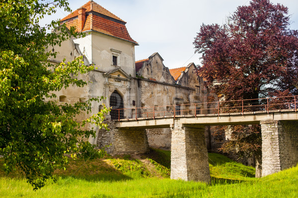 Old castle surrounded with summer nature Stock photo © dmitroza