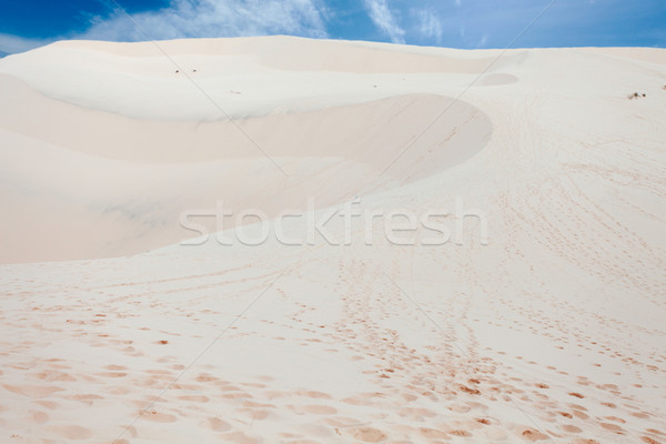 Sand-dune in a desert Stock photo © dmitroza