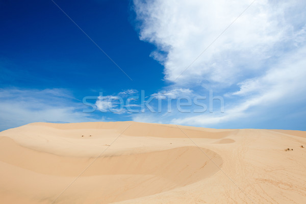 Barkhan in a desert Stock photo © dmitroza