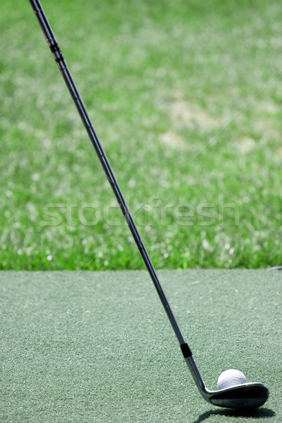 golfball and club Stock photo © dmitroza