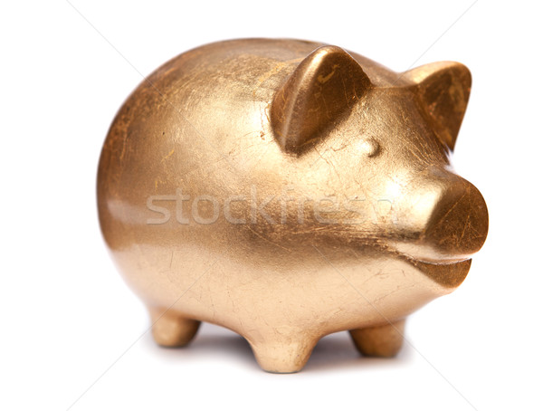 Golden pig moneybox Stock photo © dmitroza