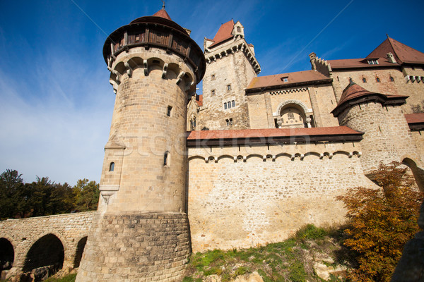 Old castle with towers Stock photo © dmitroza