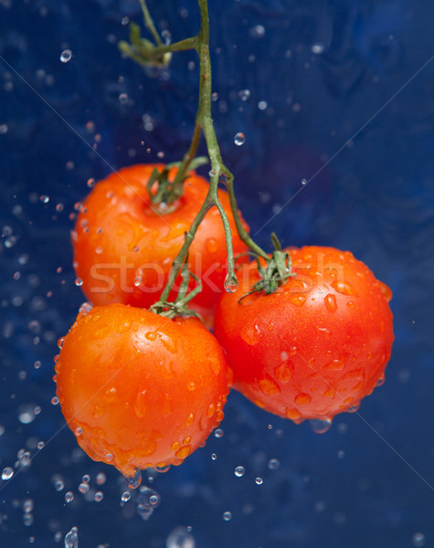 新鮮な トマト 赤 値下がり 水 自然 ストックフォト © dmitroza