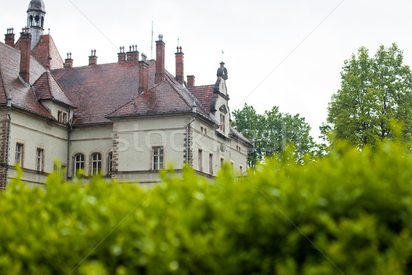 Ansicht alten Burg Sommer grünen Stock foto © dmitroza